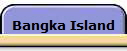 Bangka Island